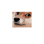Crate Doge