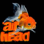 'airhead homestore