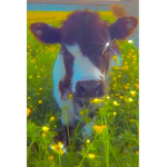 Aesthetic Strawberry Cow Group!