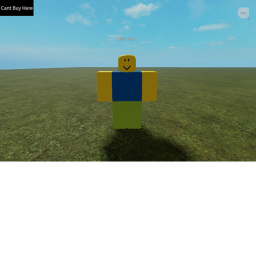 Survive Noob the killer