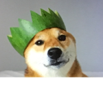 KingDoge army