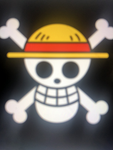 The straw hats group (mostly luffys group)