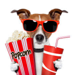 Movie makeing