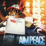 Aim 4 Peace
