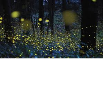 You Wouldn't Believe Your Eyes (Morning)