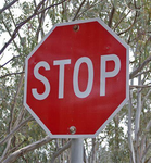 stop signs are cool