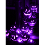 The Purple Pumkins