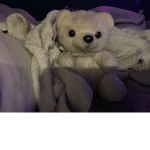 Trash bear