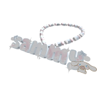 sammy necklace 3.0