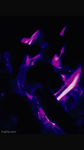 xDoomx