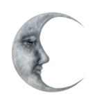 ¢єℓєѕтιαℓ