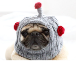 Official RobotPug Fan Group