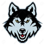 Fire Wolf Fan Group