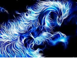 Dragon's shirts group