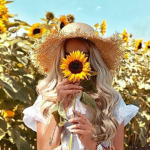 Sunflower...