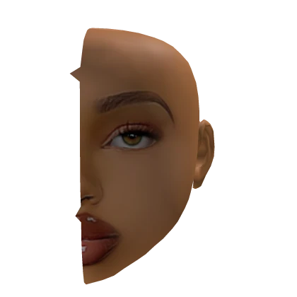 right part of mesh | Roblox Item - Rolimon's