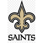 Saints _fans