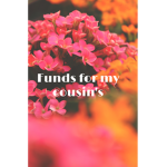 My cousins funds