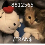 /FRAN$