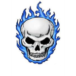 roblox blazing skulls