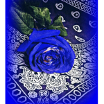 Team scorpion for ever