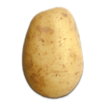 Potato Fight