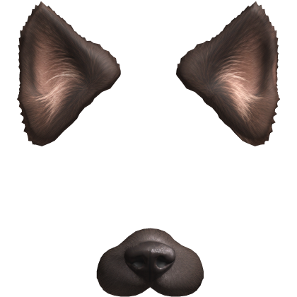 Dog Filter v2