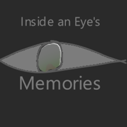 Inside an Eye 's memories