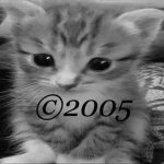 ุ05 Group Thumbnail