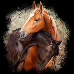 Ride rodeo win