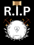 Remnant Investigation Program