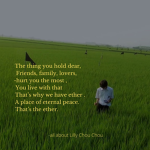 All about lily Chou Chou