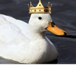 The OG Ducks.