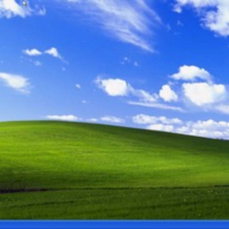 normal computer virus simulator
