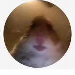 Gorillagang