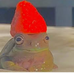 %Holographic Frogs