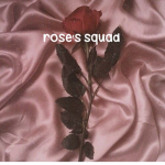 rxses's squad