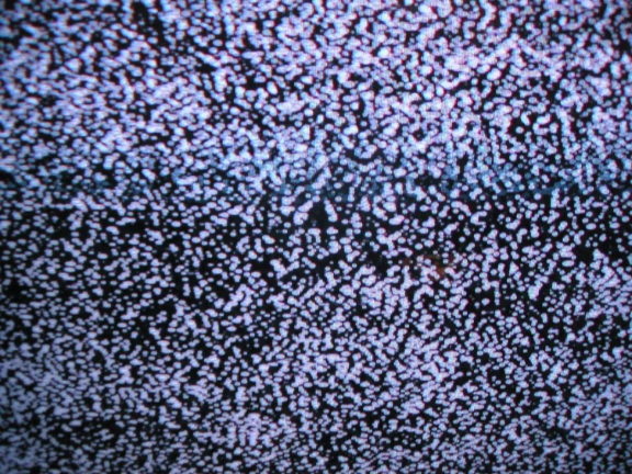 pessidog's funeral screenshot 4