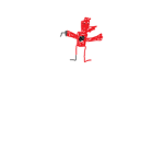 foxy the pirate fan group