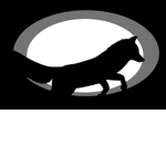 Project Foxhole