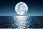 The Moon Light Games