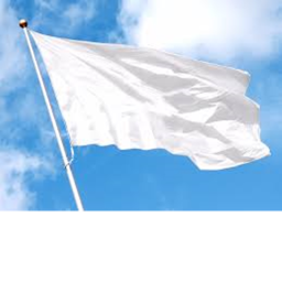 capture da flag