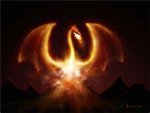 Whitefire