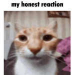 vnoxxed