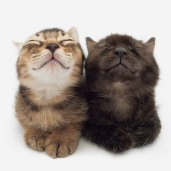 Get Me To 100 Visits Please