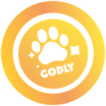 Collect A Godly Sidekick