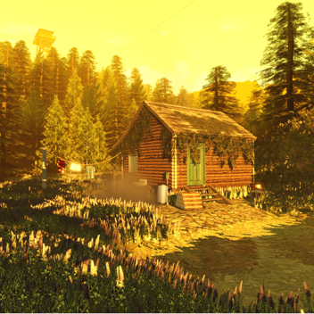 Morning Light [Showcase]