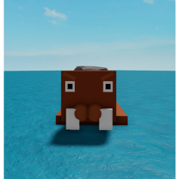 Walrus rock