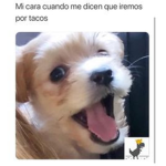 QUI OÑYA