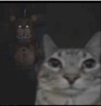 El gatas<3